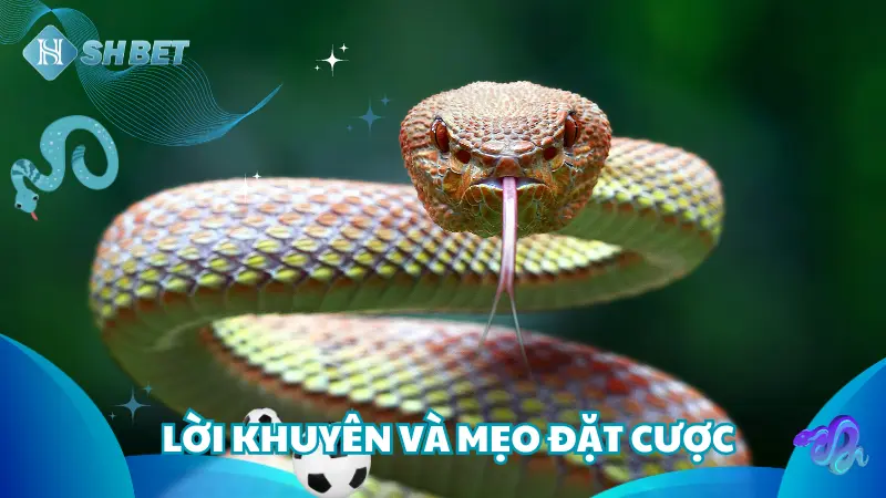 Kiểm soát tốt tài chính cá nhân và tránh gặp rắc rối không đáng có