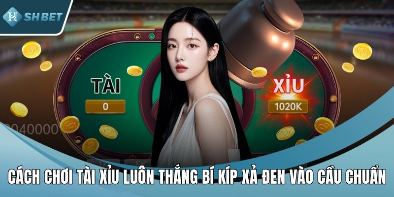 Cách chơi tài xỉu luôn thắng