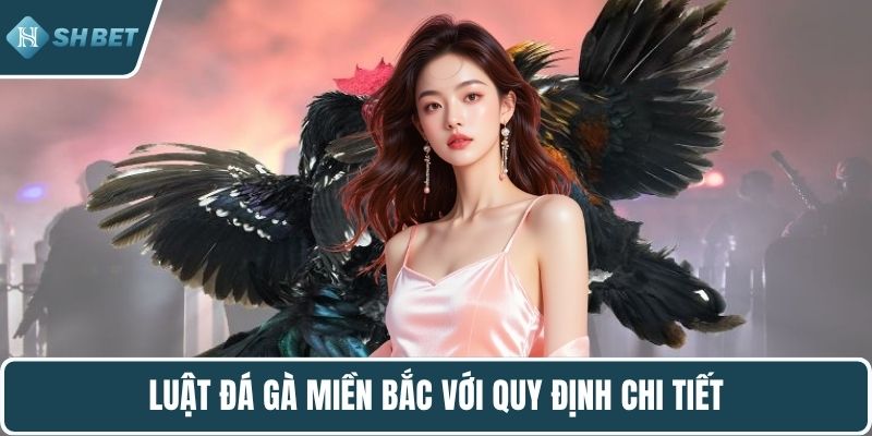 Luật đá gà miền Bắc với quy định chi tiết