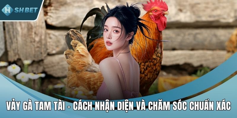 Vảy gà tam tài