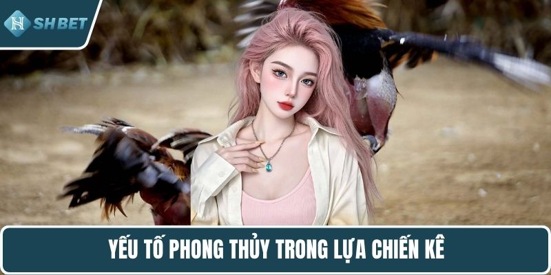 Yếu tố phong thủy trong lựa chiến kê