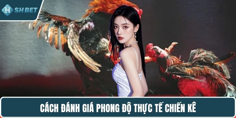 Cách đánh giá phong độ thực tế chiến kê