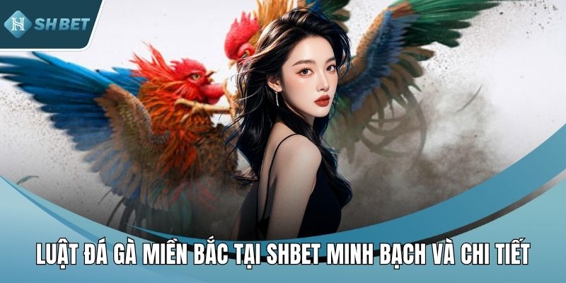 Luật đá gà miền Bắc