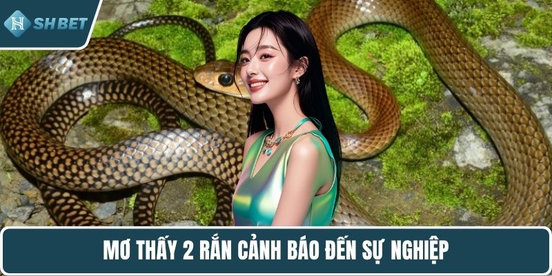 Mơ thấy 2 rắn cảnh báo đến sự nghiệp