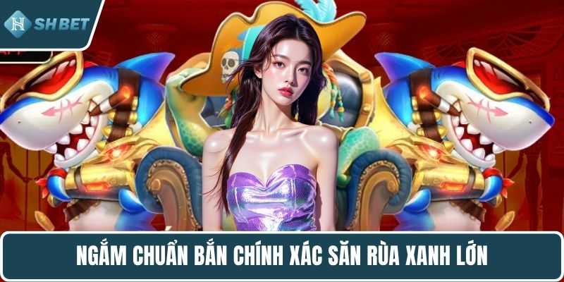 Ngắm chuẩn bắn chính xác săn rùa xanh lớn