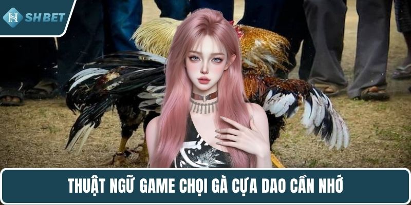 Thuật ngữ game chọi gà cựa dao cần nhớ