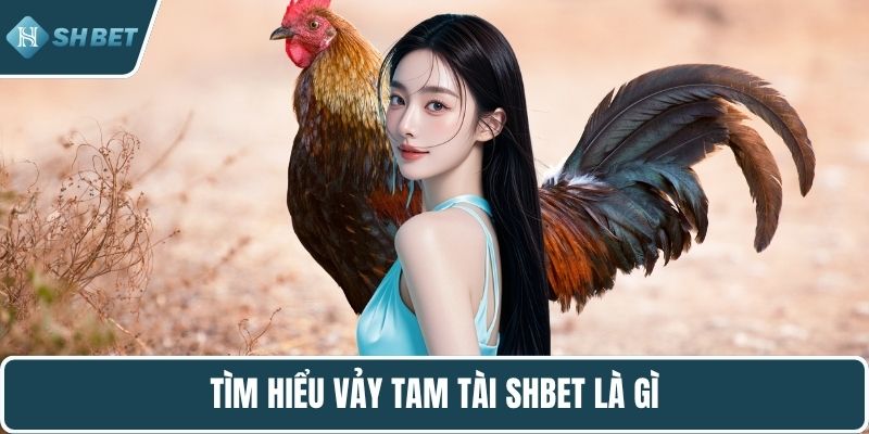Tìm hiểu vảy tam tài SHBET là gì