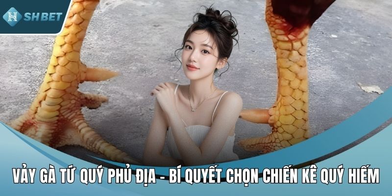 Vảy gà tứ quý phủ địa