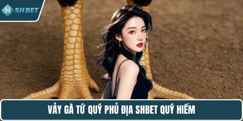 Vảy gà tứ quý phủ địa SHBET quý hiếm
