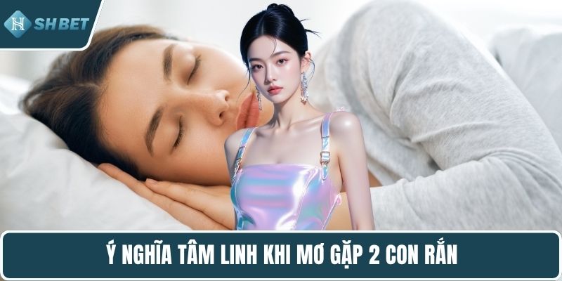 Ý nghĩa tâm linh khi mơ gặp 2 con rắn